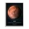 Stupell Industries Mars Red Planet Infographic Astrological Facts Outer Space in Gray Frame Wall Art